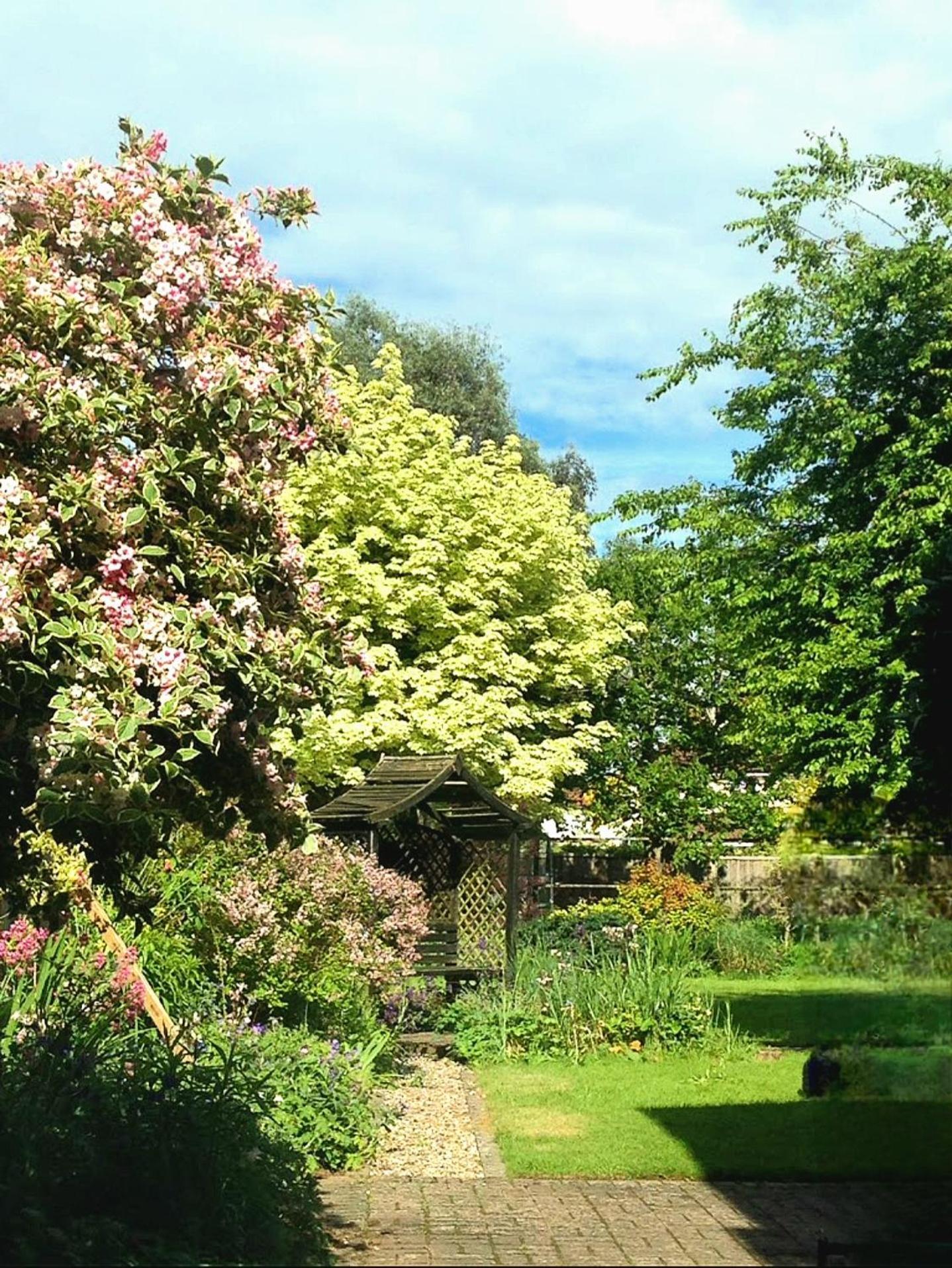 Hollybush Guest House Oxford Exterior photo