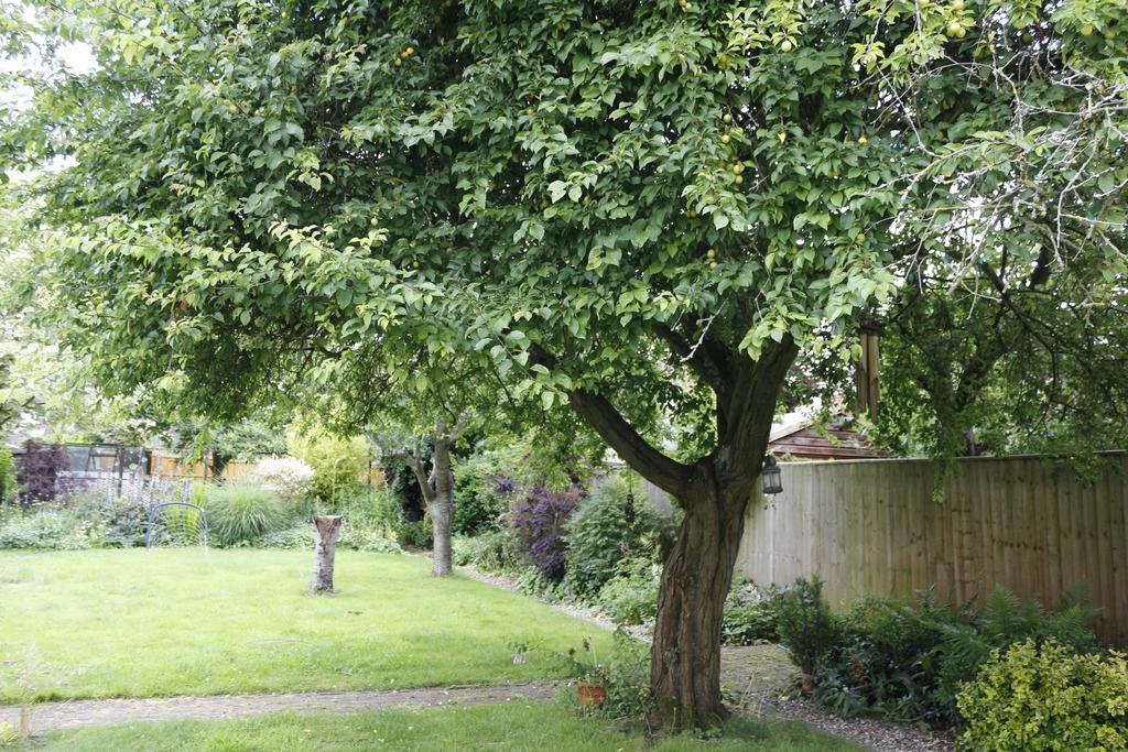 Hollybush Guest House Oxford Exterior photo